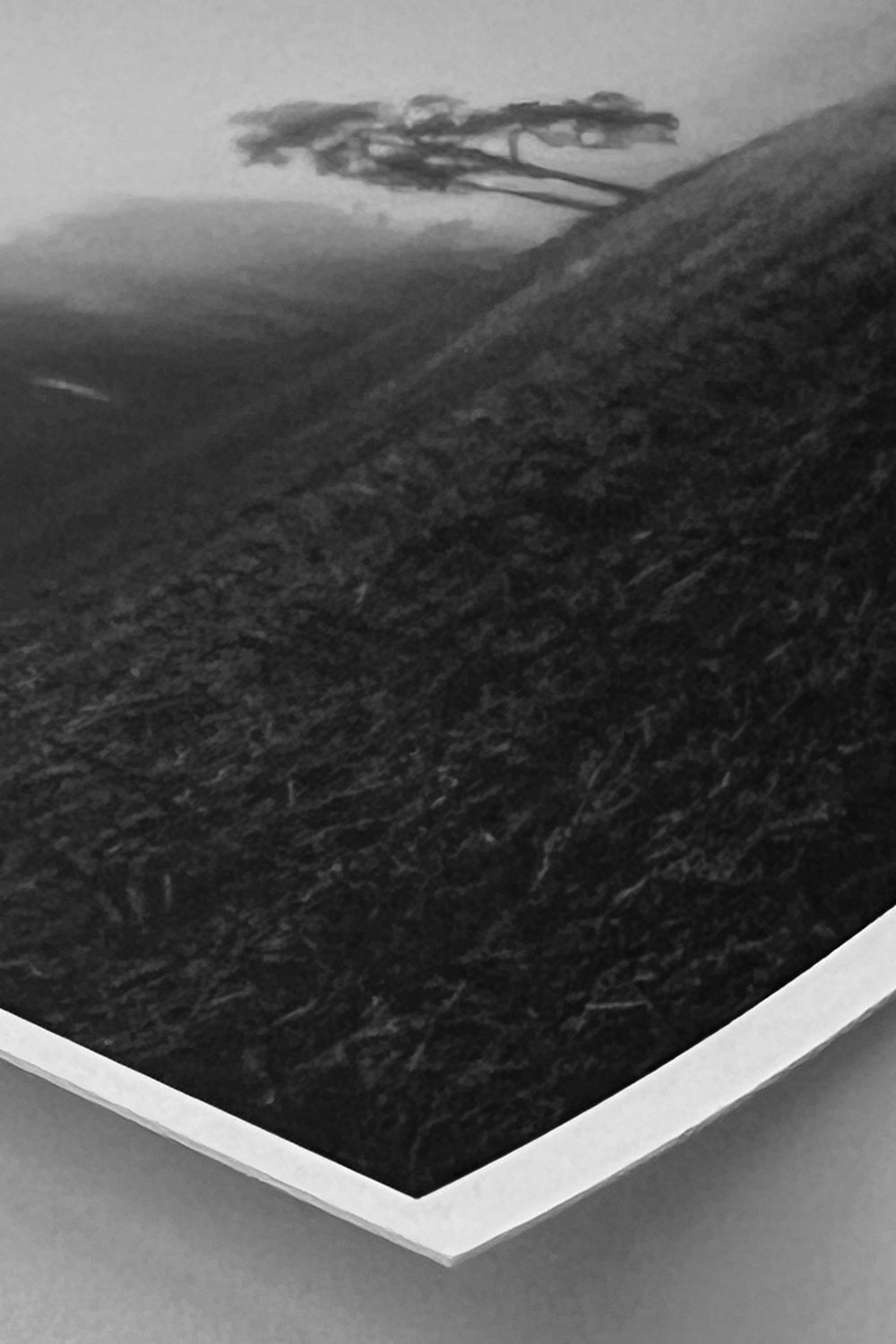 Matt Premium Photographic Prints